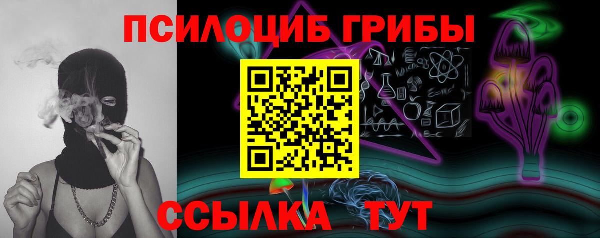 Псилоцибиновые грибы GOLDEN TEACHER  цены   Брянск  Псилоцибиновые грибы GOLDEN TEACHER  Вход с VPN 